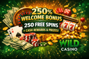 Wild Casino 250% Welcome Bonus + 250 Free Spins & Cash Rewards Explained